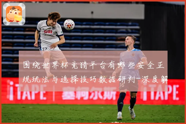 围绕世界杯竞猜平台有哪些安全正规玩法与选择技巧数据研判-深度解析
