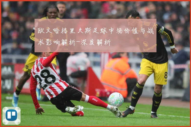 欧文哈格里夫斯足球中场价值与战术影响解析-深度解析